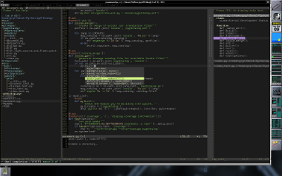 screenshot: Vim i urxvt